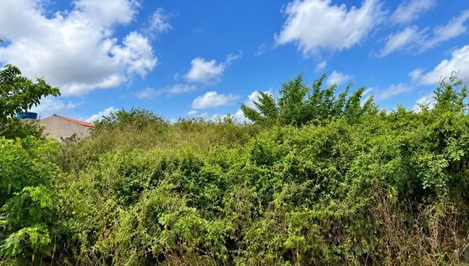 Terreno em Loteamento Planalto 710, Sairé/PE — foto 1 de 1