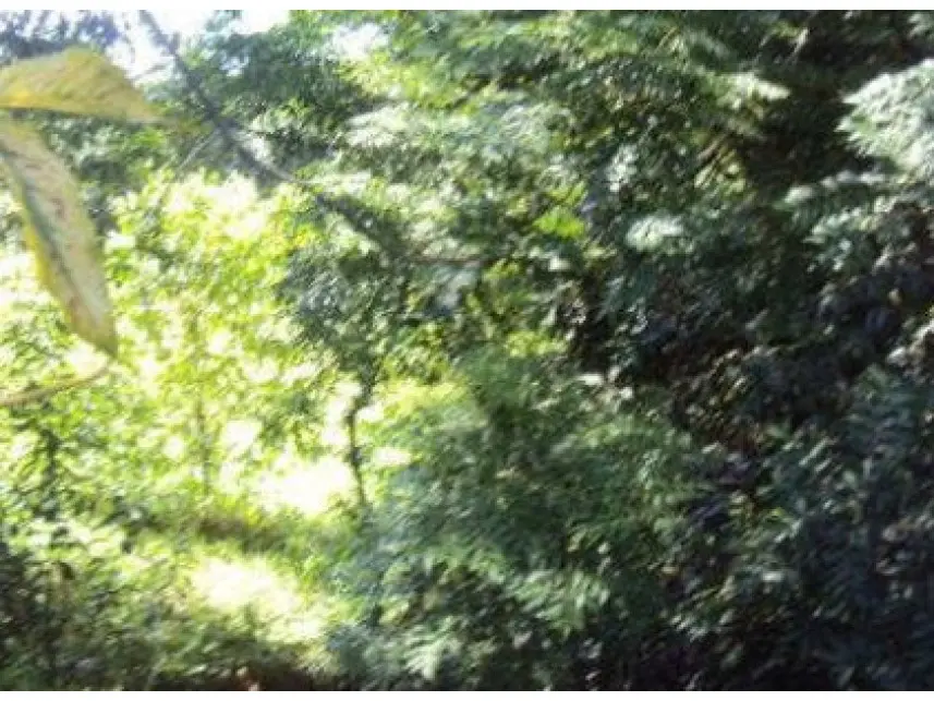 Terreno em Vila Piedade, Itapetininga/SP — foto 1 de 9