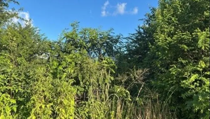 Terreno em Planalto 710, Sairé/PE — foto 1 de 1